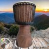 African Djembe Drum