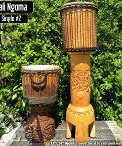 Ngomi from Mali #2