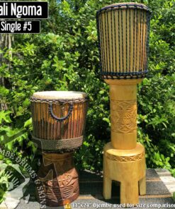 Ngomi from Mali #5