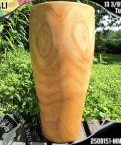 Conga Shell - Mali - 2508151- MMP - S