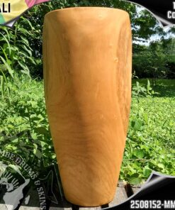 Conga Shell - Mali - 2508152- MMP - S