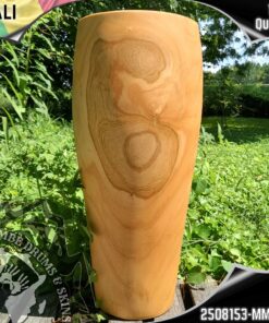 Conga Shell - Mali - 2508153- MMP - S