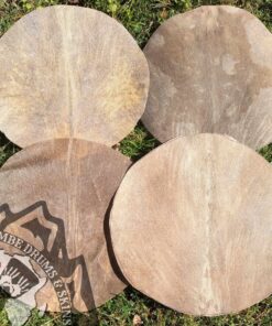 Pre-cut Ivory Coast Goatskin Rounds - Hairless