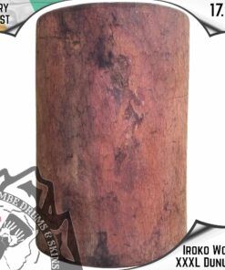 XXL Dununba Shell - Ivory Coast
